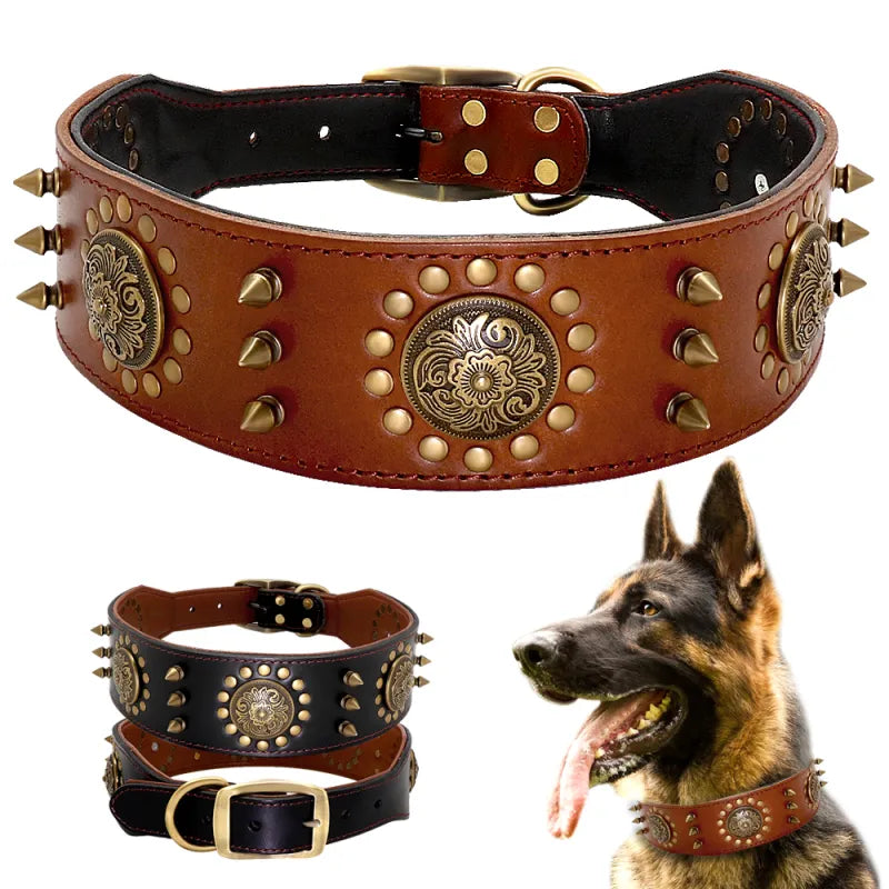 Studded Leather Dog Collars for Large & Small Dogs – Durable & Stylish | Pawraay