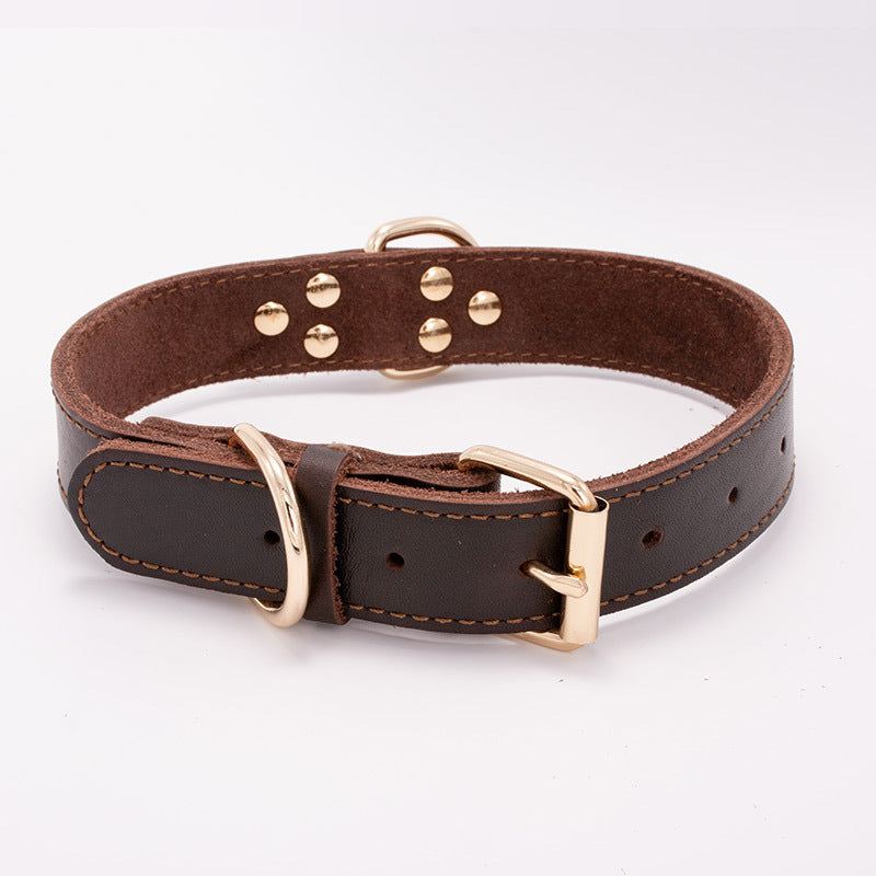 Dog Collars for All Breeds | Stylish & Durable Pet Collars – Pawraay
