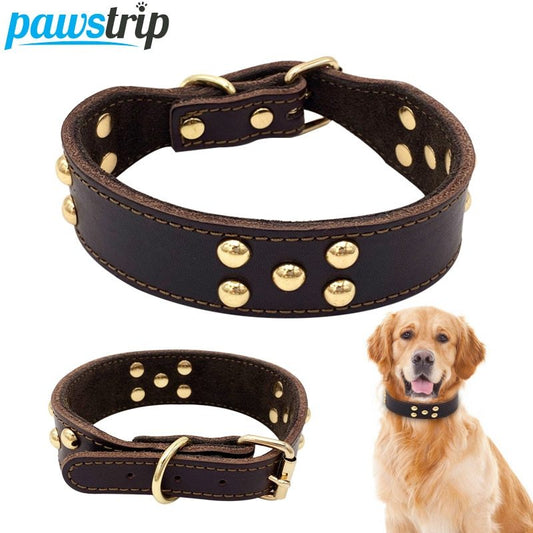 Dog Collars for All Breeds | Stylish & Durable Pet Collars – Pawraay