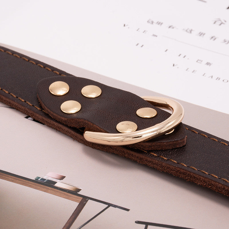 Dog Collars for All Breeds | Stylish & Durable Pet Collars – Pawraay